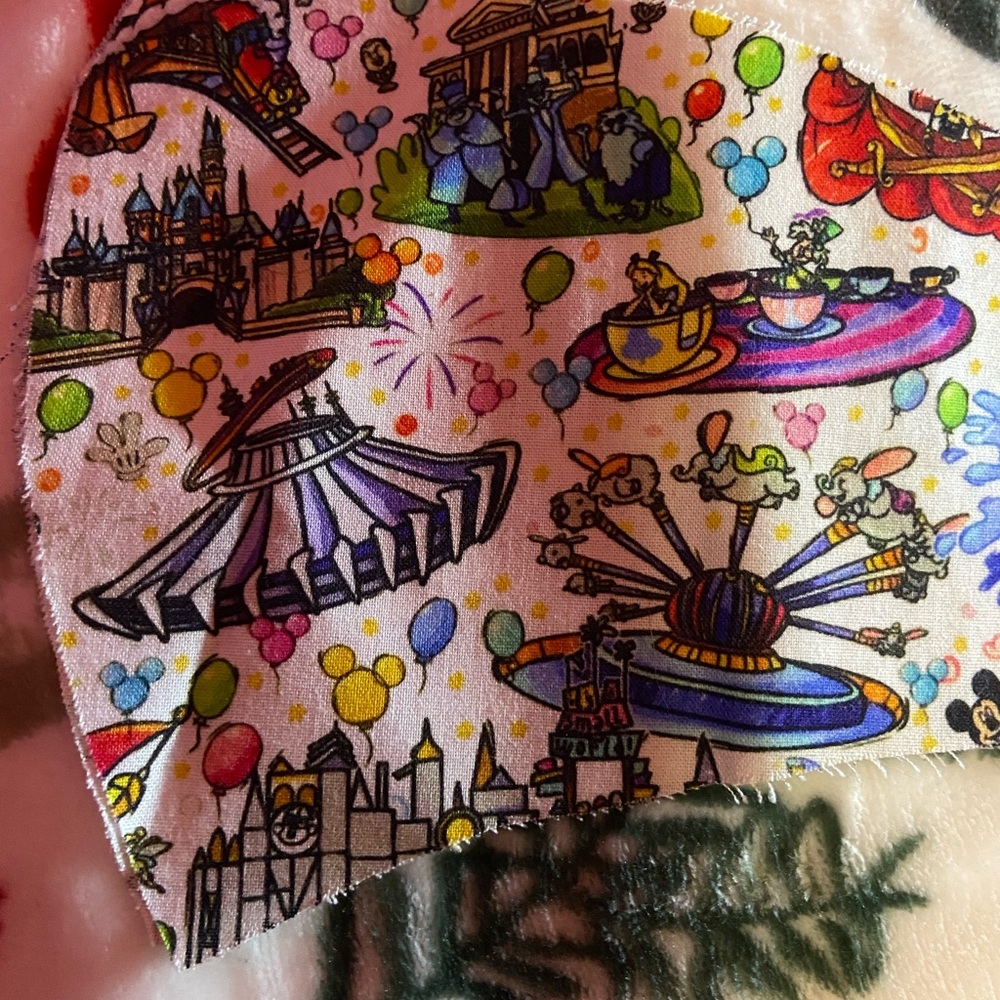 Disneyland rides face mask olson